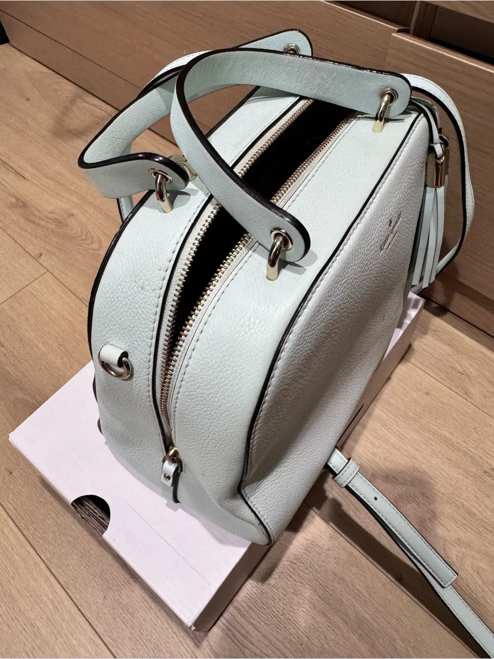 kate spade Pale Mint Leather Crossbody Satchel with Tassel